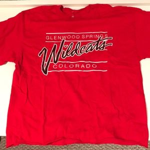 Brandy Melville Never-Worn Cut and Cropped Tee.